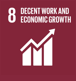 UN SDG 8 Decent Work and Economic Growth